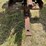john-deere-gm-image-34