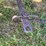 1956-john-deere-60-image-44