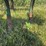 john-deere-11-image-17
