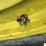 john-deere-b-image-38