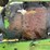 john-deere-gm-image-63