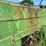 1956-john-deere-60-image-17