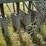 john-deere-fb-image-41