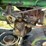 john-deere-gm-image-65