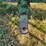 john-deere-b-image-41
