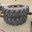 international-10-image-5