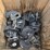 kinze-3600-image-3