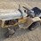 international-cub-image-1