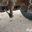 1997-wilson-grain-trailer-image-15