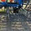 dmi-tiger-image-20