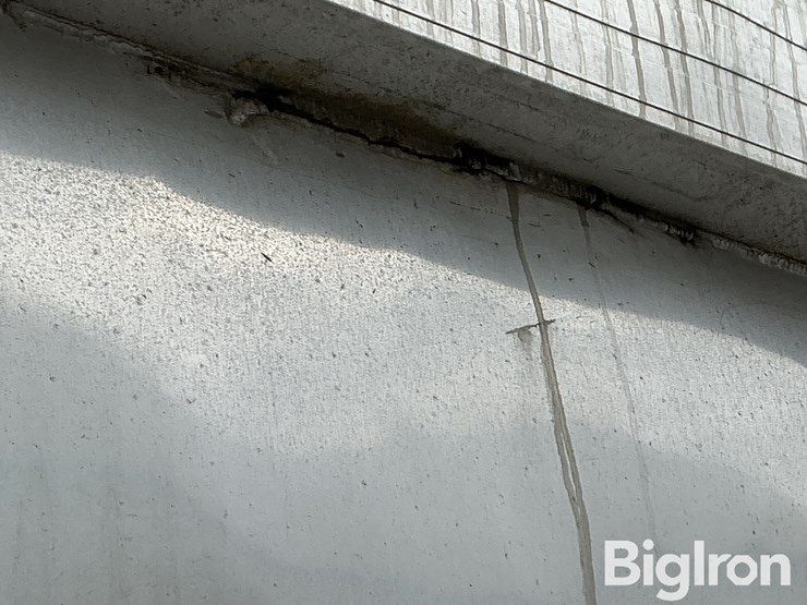 2004-travis-39-ft-image-19