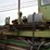 precision-848m-rosser-head-debarker-w/-slant-tranck-w/-4'x4'-control-cab-w/-75hp-motor-missing-parts-sn#547-image-11