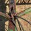 john-deere-8350-image-8