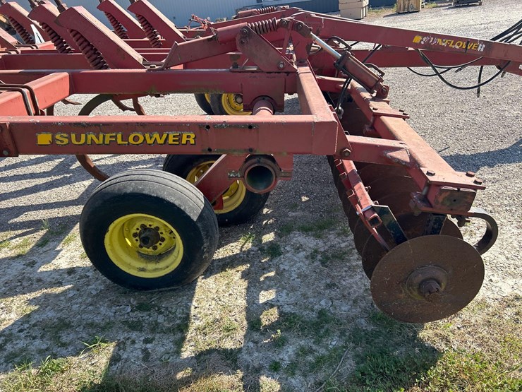 sunflower-4212-image-17