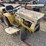 international-cub-image-3