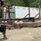 2003-timberjack-430b-image-16
