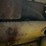 caterpillar-d2-image-36