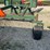 artsway-2400-image-5
