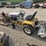 international-cub-image-1