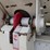 2007-axle-dump-trailer-image-7