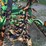 great-plains-4000-image-18
