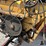 knight-little-auggie-image-14