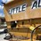 knight-little-auggie-image-13
