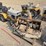 international-cub-image-5
