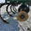 glencoe-dt8200-image-13
