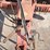 new-idea-486-image-11