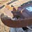 hydraulic-excavator-thumb-image-3