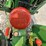 john-deere-750-image-23