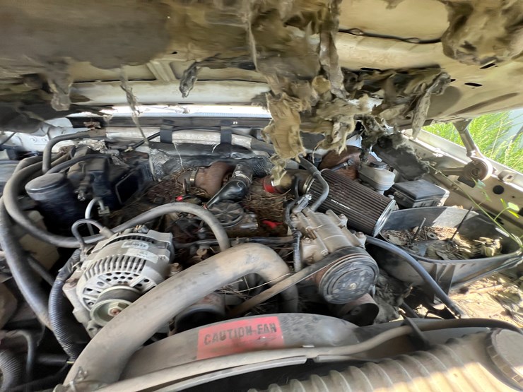 1994-ford-f250-image-11