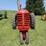 massey-ferguson-30-image-2