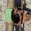 john-deere-model-b-image-22
