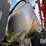 2019-case-ih-patriot-4440-image-71