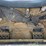 bobcat-t190-image-39