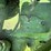 john-deere-b-image-9