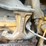 2015-deere-544k-image-9