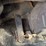 kawasaki-65zv-2-image-36