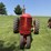 massey-ferguson-44-image-2