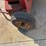 new-holland-28-image-5