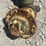 john-deere-model-b-image-9