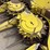 john-deere-688-image-22