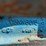 2000-ford-2000-image-23