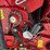 new-holland-roll-belt-560-image-17