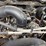 2013-dodge-ram-1500-image-17
