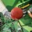 john-deere-750-image-24