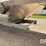 2017-timpte-grain-hopper-image-37