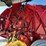 new-holland-roll-belt-560-image-13